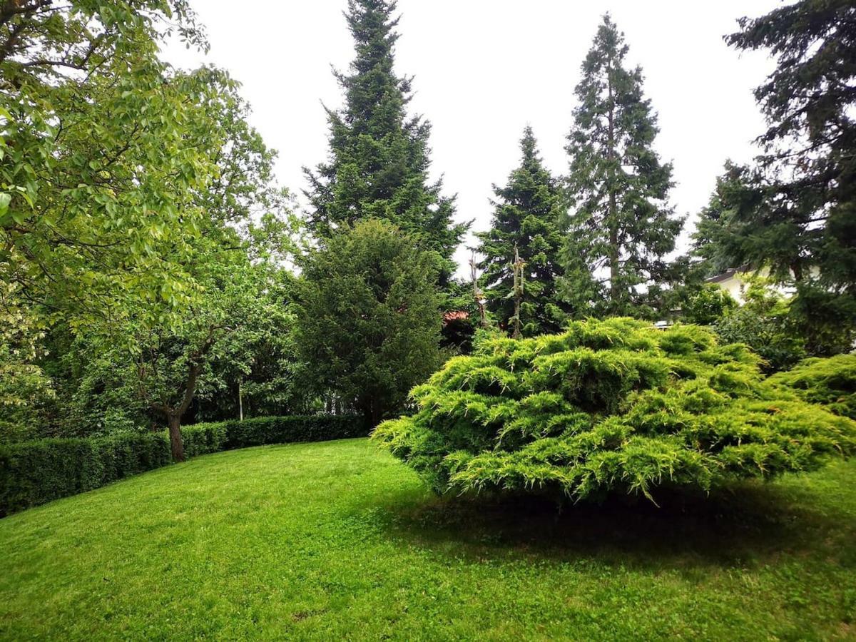 Апартаменты Casa Carla, Immersa Nel Verde Dei Colli Bolognesi Сассо-Маркони Экстерьер фото